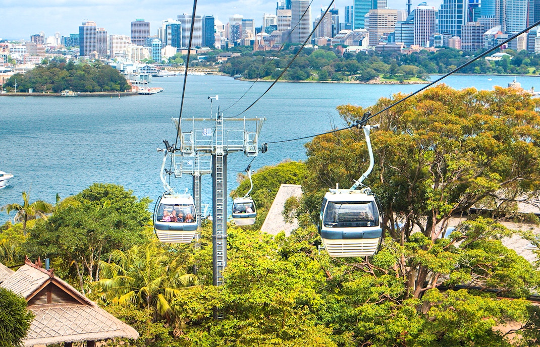 Sky Safari cable car gliding over Taronga Zoo with Sydney Harbour in the background.
