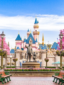 Disneyland California castle with cherry blossoms and blue sky.