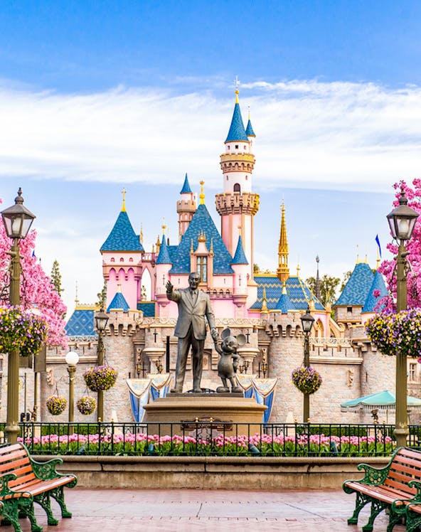 Disneyland California castle with cherry blossoms and blue sky.