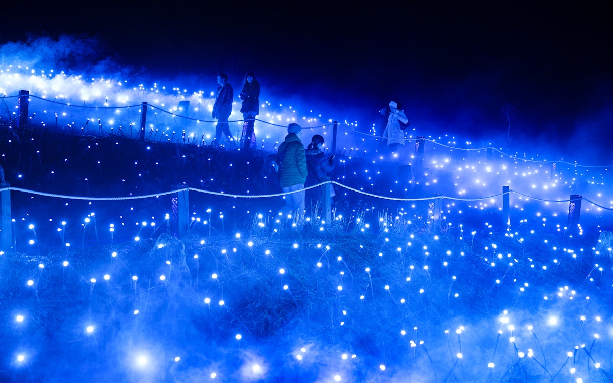 Guests walking along the illuminated celestial trail at Astra Lumina, Currumbin Wildlife Sanctuary.