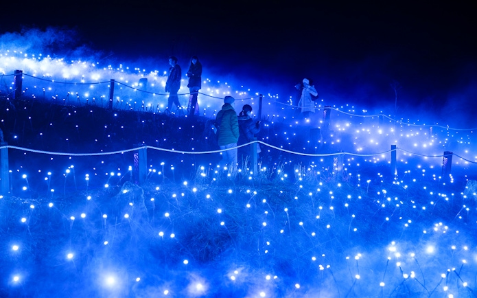 Guests walking along the illuminated celestial trail at Astra Lumina, Currumbin Wildlife Sanctuary.