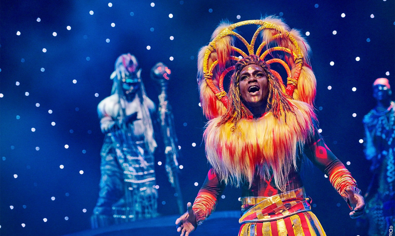 Doge's Palace Guided Tours