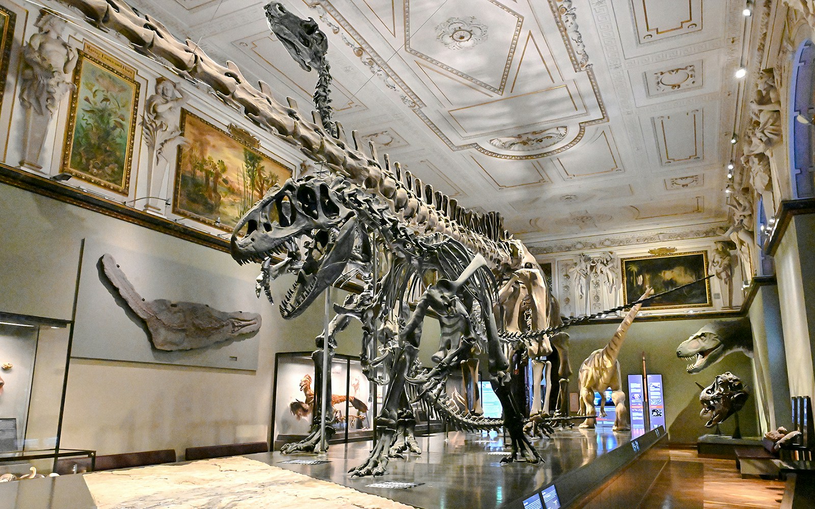 Dinosaur skeletons displayed in Natural History Museum Vienna exhibit hall.