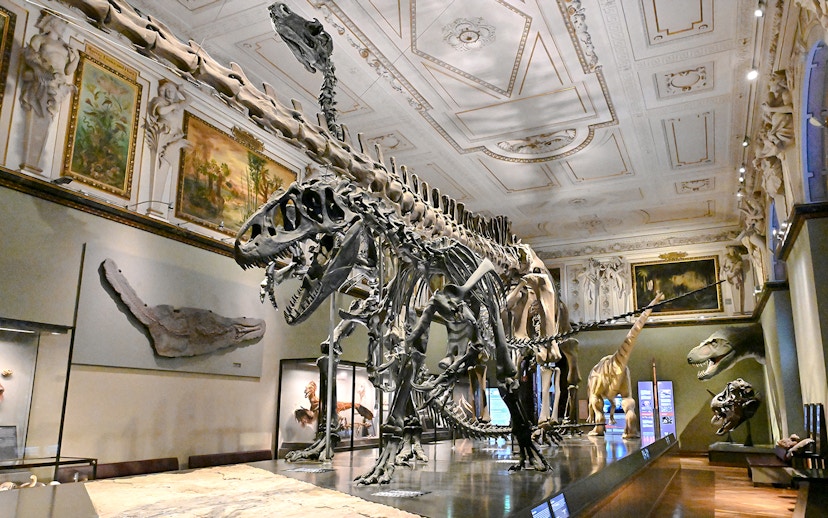 Dinosaur skeletons displayed inside Natural History Museum Vienna.