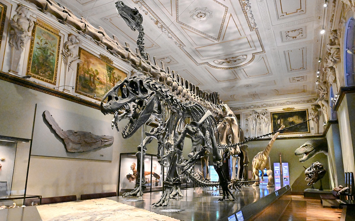 Dinosaur skeletons displayed inside Natural History Museum Vienna.