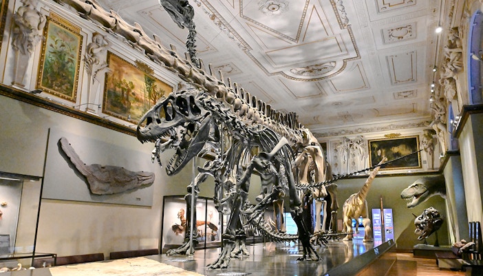 Dinosaur skeletons displayed in Natural History Museum Vienna exhibit hall.
