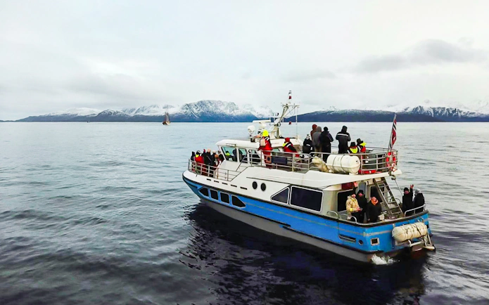 Cruise ship with tourists on a whale watching tour in icy waters with snowy mountains.