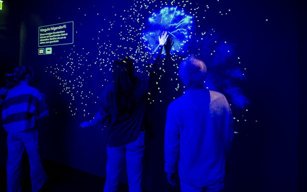 Visitors interact with glowing display at Bioluminence Beauty Exhibit, Planet Wildlife Immersive Exhibition.