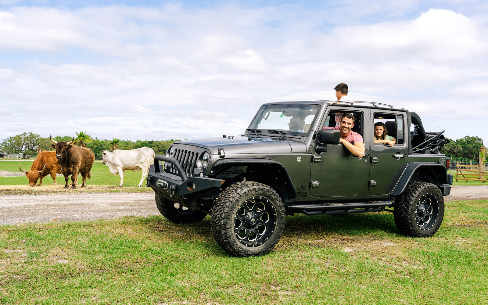 Family in jeep observing cattle at Drive-Thru Safari Park, Orlando.