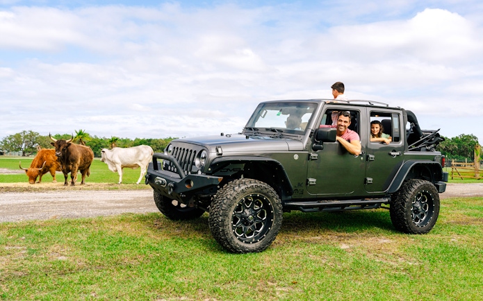Family in jeep observing cattle at Drive-Thru Safari Park, Orlando.