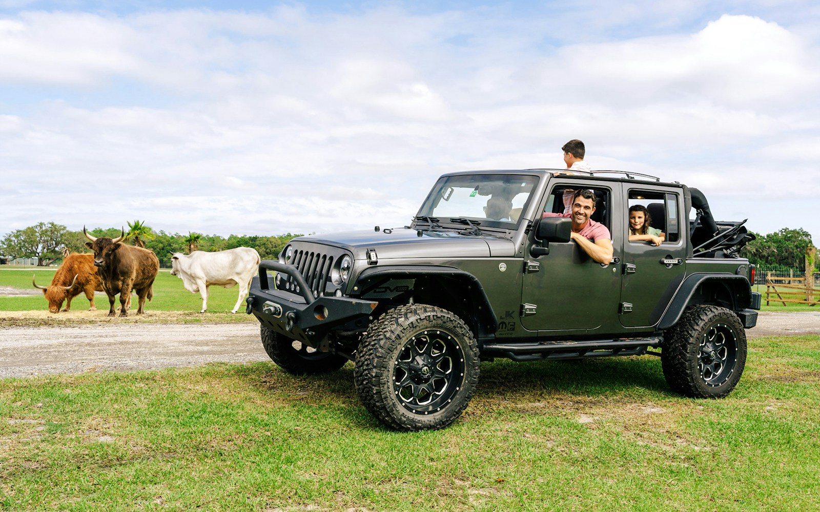 Family in jeep observing cattle at Drive-Thru Safari Park, Orlando.