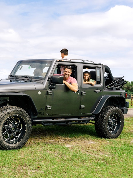 Family in jeep observing cattle at Drive-Thru Safari Park, Orlando.