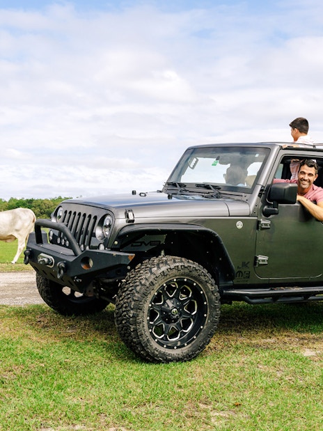 Family in jeep observing cattle at Drive-Thru Safari Park, Orlando.