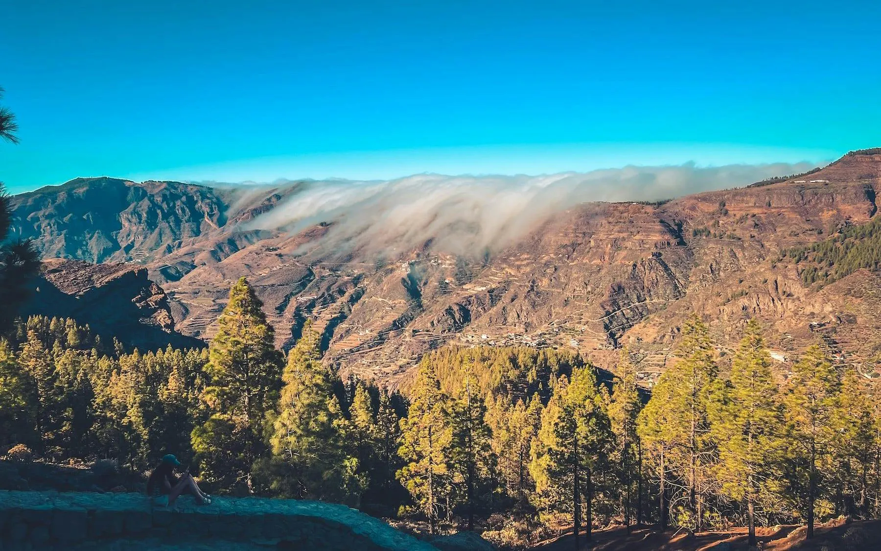 Gran Canaria volcanic landscape with pine trees and misty mountains at sunset.