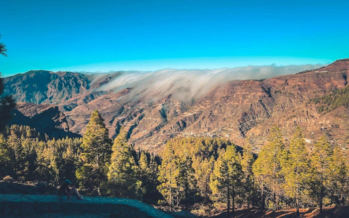 Gran Canaria volcanic landscape with pine trees and misty mountains at sunset.