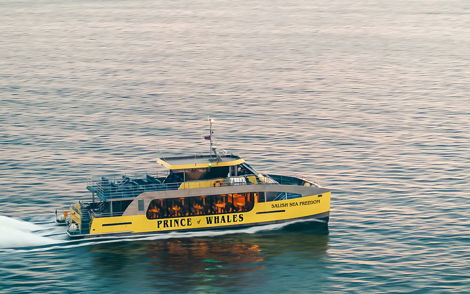 Salish Sea Freedom boat on a whale watching tour in Victoria, Canada, operated by Prince of Whales.