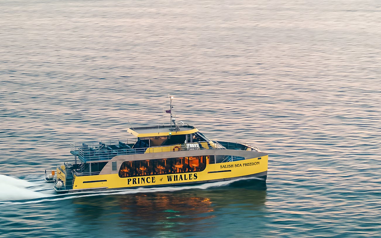 Salish Sea Freedom boat on a whale watching tour in Victoria, Canada, operated by Prince of Whales.