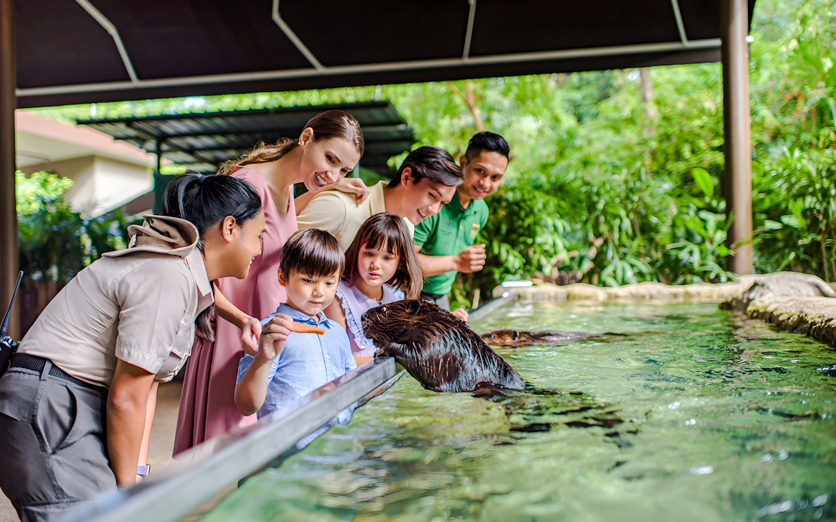 Visitors feeding an animal at Mandai Wildlife Group attraction.