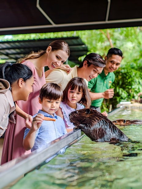 Visitors feeding an animal at Mandai Wildlife Group attraction.