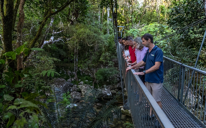 Group on a bridge during a guided Daintree Rainforest tour, observing lush greenery.