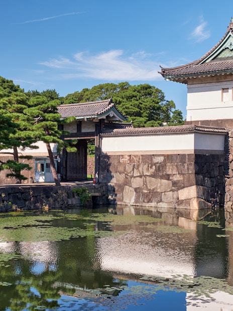 Kikyo-bori moat with water plants near Tokyo Imperial Palace, Japan.
