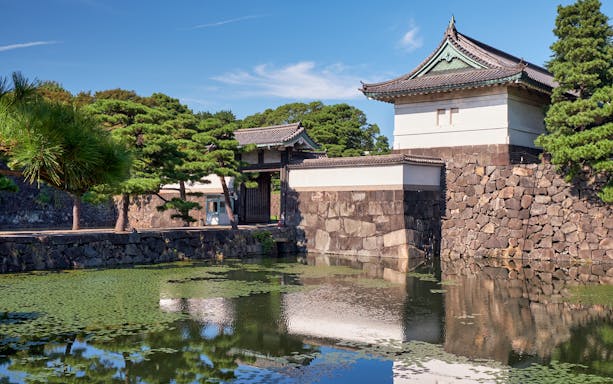 Kikyo-bori moat with water plants near Tokyo Imperial Palace, Japan.