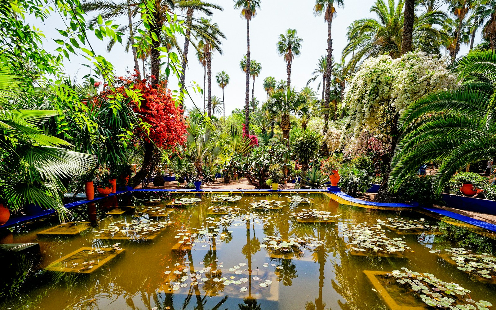 Tourists exploring the vibrant blue Majorelle Garden and Yves Saint Laurent Marrakesh Museum, a unique cultural attraction in Marrakesh