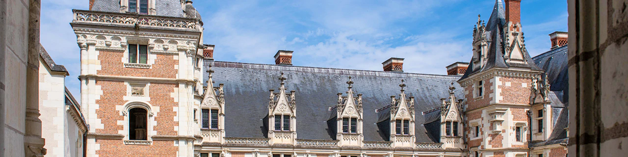 Combo: castello reale di Blois + 1 castello della Valle della Loira