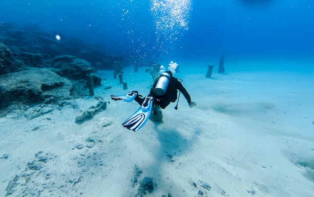 Diver exploring underwater sculptures in Green Bay during a private discovery dive.