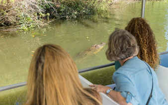Tourists observing a crocodile from a boat on the Daintree Rainforest tour.