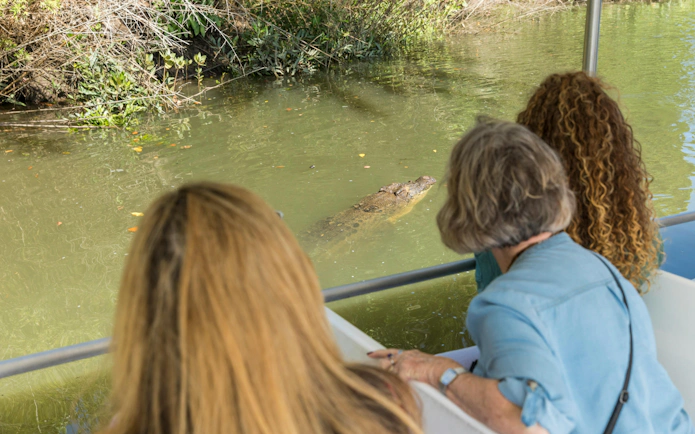 Tourists observing a crocodile from a boat on the Daintree Rainforest tour.