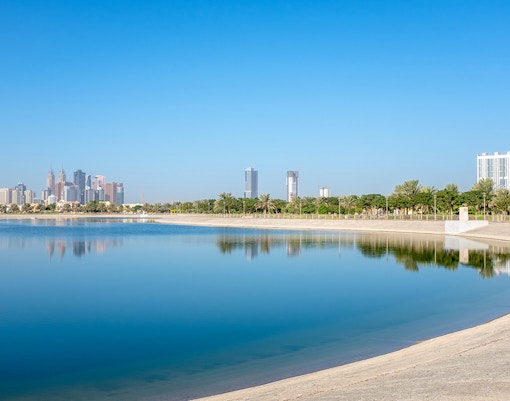 Dubai Miracle Garden Tickets