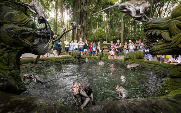 Monkeys playing in a pond surrounded by tourists at Sacred Monkey Forest Ubud.