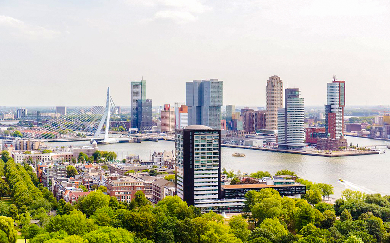 Rotterdam skyline with Erasmus Bridge and modern high-rise buildings along the river.