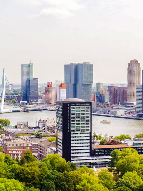 Rotterdam skyline with Erasmus Bridge and modern high-rise buildings along the river.