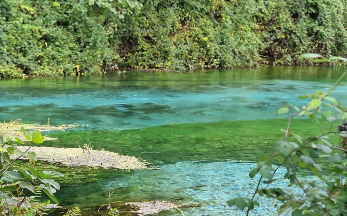 Blue Eye spring in Albania with clear turquoise water surrounded by lush greenery.