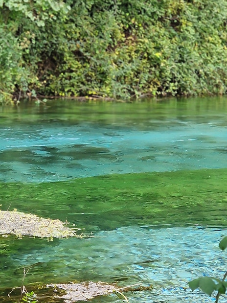 Blue Eye spring in Albania with clear turquoise water surrounded by lush greenery.