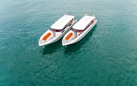 From Phuket: Phi Phi Island, Maya Bay & Bamboo Island Tour by Speedboat with Lunch & Optional Transfers