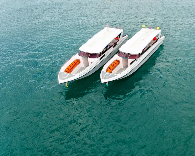 From Phuket: Phi Phi Island, Maya Bay & Bamboo Island Tour by Speedboat with Lunch & Optional Transfers