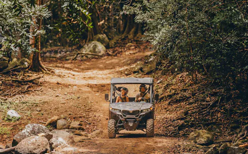 Two people driving a buggy through a forest trail in Bel Ombre.