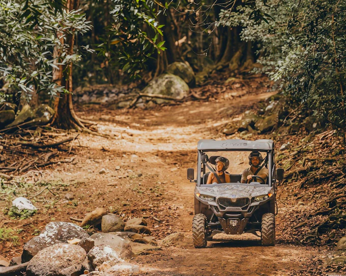 Mauritius: Bel Ombre Nature Reserve Buggy Tour