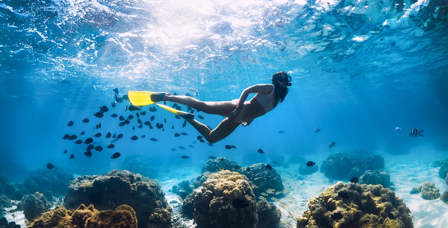 Maui Snorkel Tours