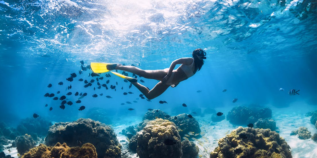 Maui Snorkeling Tours