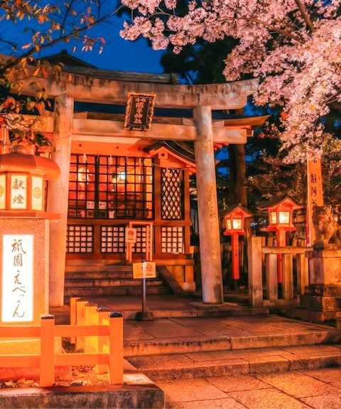 Yasaka Shrine entrance illuminated at night with cherry blossoms, Kyoto, Japan.