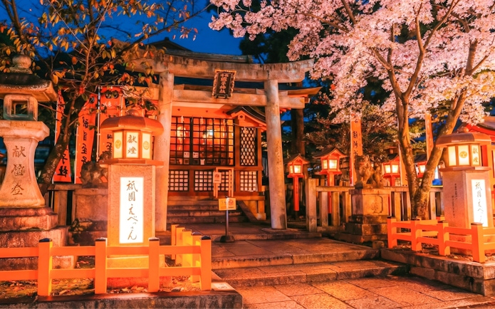 Yasaka Shrine entrance illuminated at night with cherry blossoms, Kyoto, Japan.