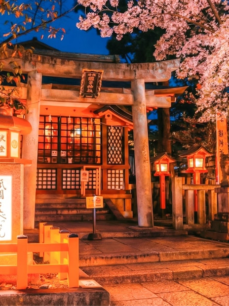 Yasaka Shrine entrance illuminated at night with cherry blossoms, Kyoto, Japan.
