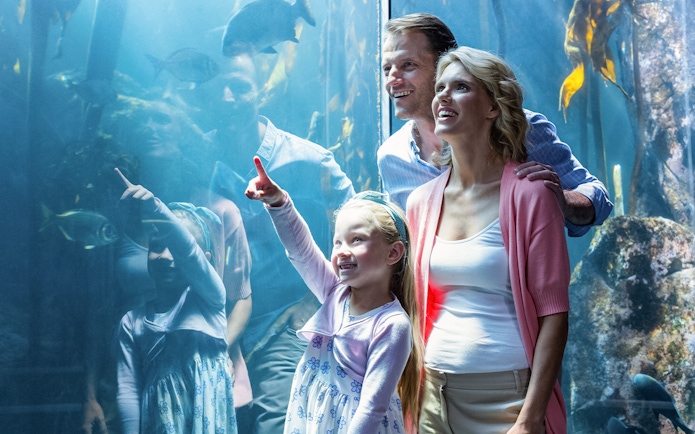 Family enjoying marine life at Cairns Aquarium.