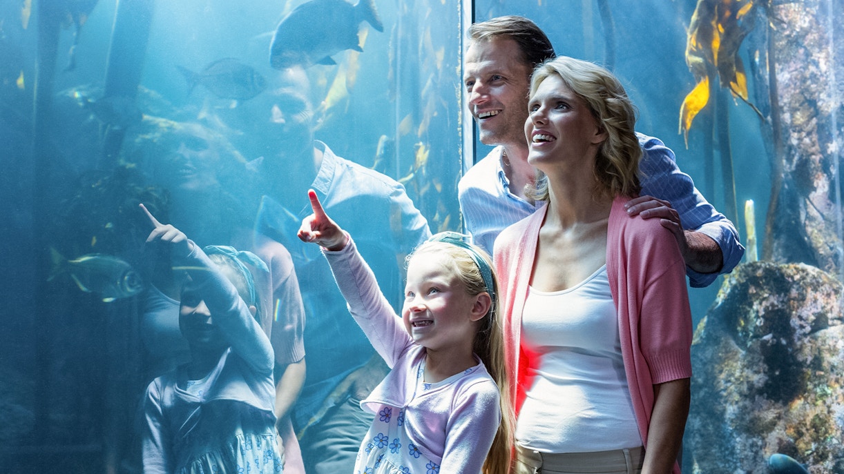 Ingressos para o Aquário de Sevilha