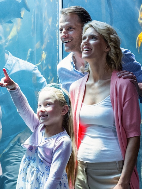 Family enjoying marine life at Cairns Aquarium.
