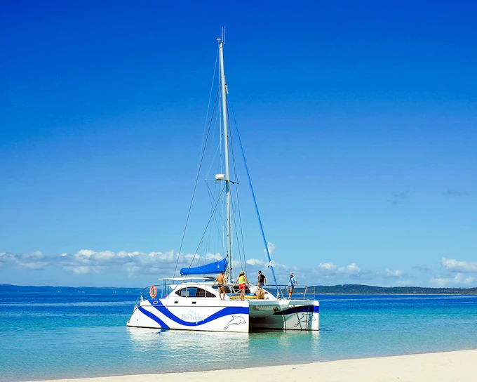 From Hervey Bay: K'gari (Fraser Island) Dolphin Eco-Sailing Cruise